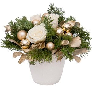 New Year's Night with delivery Stavropol