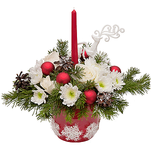 Night Before Christmas with delivery Stavropol