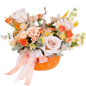 Frighteningly beautiful with delivery Stavropol