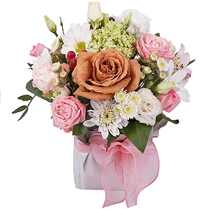 Bewitching look with delivery Stavropol