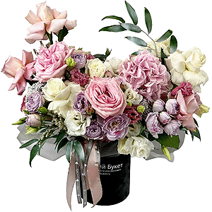 Casual elegance with delivery Stavropol