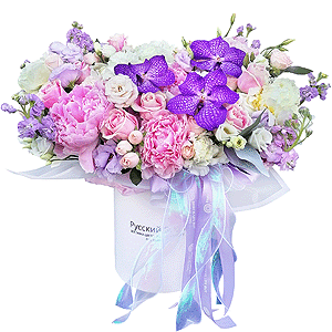 Alien beauty with delivery Stavropol