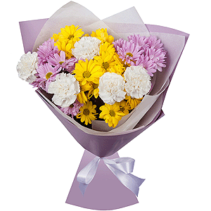 Constellation Chrysanthemum with delivery Stavropol