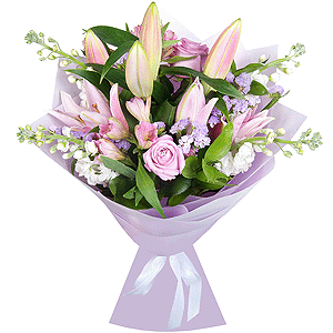 Siren music with delivery Stavropol