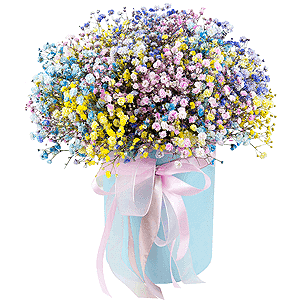 Sparkle of joy with delivery Stavropol
