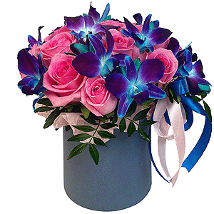 In the Rays of Sunset with delivery Stavropol