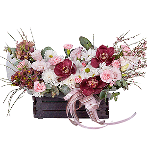 Dawn Queen with delivery Stavropol