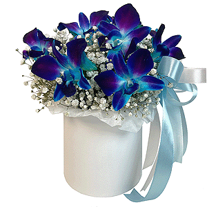 Floral Eclipse with delivery Stavropol