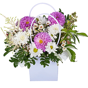 Summer Dew with delivery Stavropol