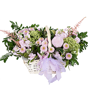 Morning Tenderness with delivery Stavropol