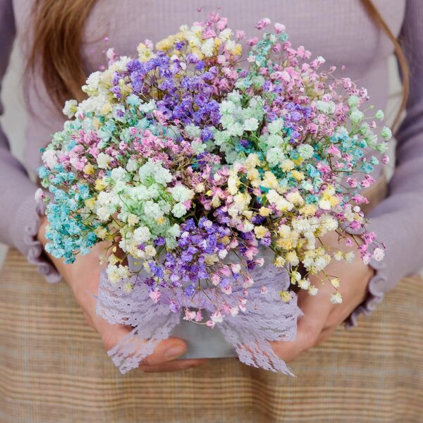 Colored gypsophila - 9, Oasis, Ceramic pot, Film, Ribbon
