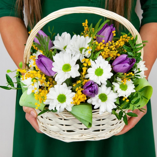Lilac tulip - 7, Bacardi White Spray Chrysanthemum - 1, Mimosa - 2, Small Basket, Oasis, Pistachio