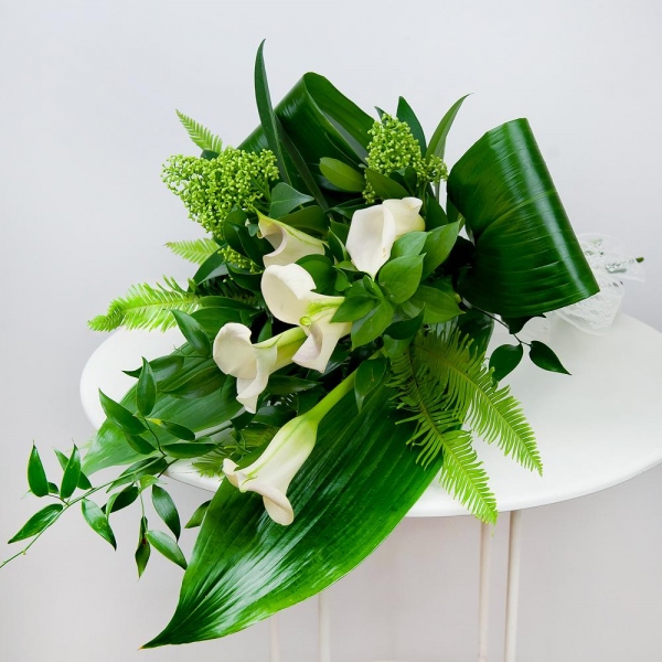 Каллы - 9, Скиммия, Амбрелла, Аспидистра, Рускус итальянский, Рускус, Лента