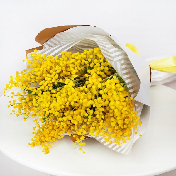 Mimosa - 7, Wrapping Paper, Ribbon