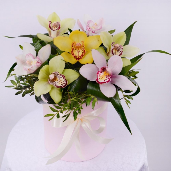 White Cymbidium Orchid Bud - 4, Orchid bud yellow/brown Cymbidium - 3, Green Cymbidium Orchid Bud - 4, Round flower box small , Oasis, Aspidistra (1 pc.), Pistachio, Ribbon, Flask for orchids