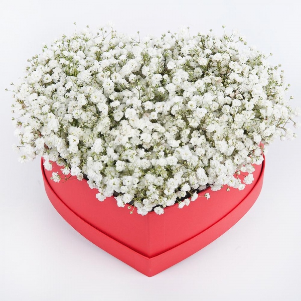 Gypsophila - 9, Heart‑shaped box for arrangements, Oasis