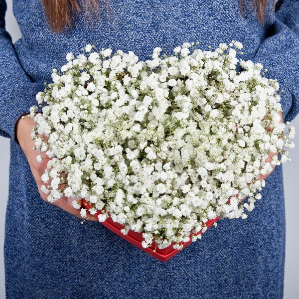 Gypsophila - 9, Heart‑shaped box for arrangements, Oasis