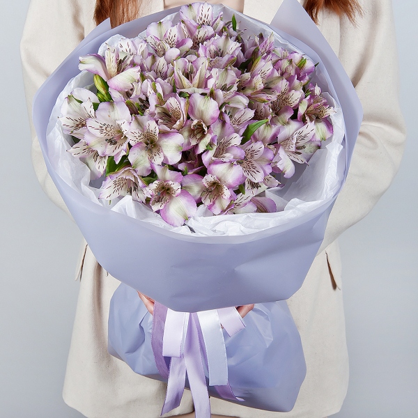Alstromeria lilac, purple - 19, Wrapping Paper