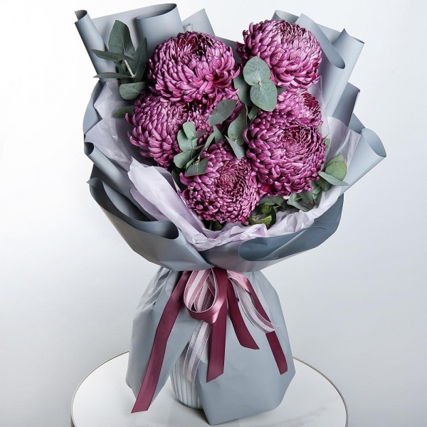 Chrysanthemum Bigoudi purple - 11, Eucalyptus, Wrapping Paper