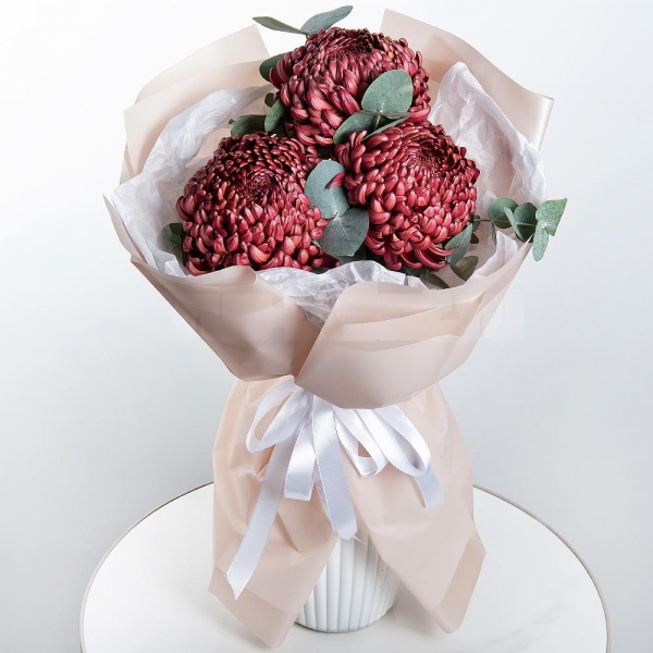 Chrysanthemum Bigoudi purple - 7, Eucalyptus, Wrapping Paper