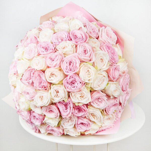 Peony style roses - 133, Wrapping Paper, Ribbon