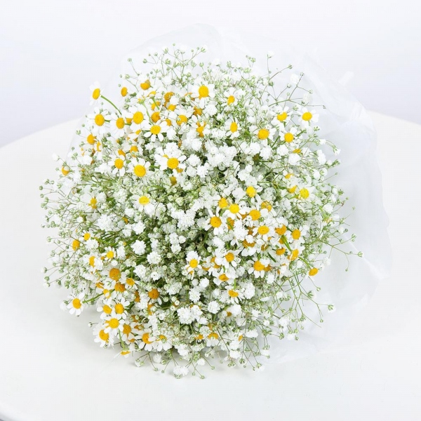 Gypsophila - 6, Chamomile - 6, Ribbon, Wrapping Paper