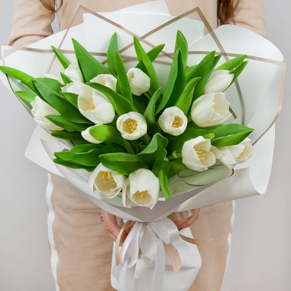 Tulip white - 27, Wrapping Paper, Ribbon