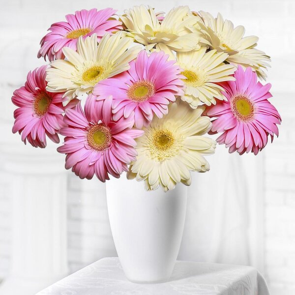 Gerbera white - 10, Gerbera pink - 9, Ribbon