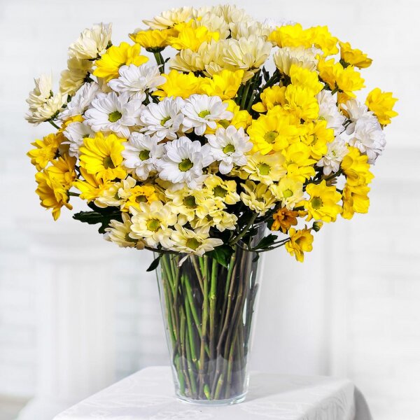 Bacardi Yellow Spray Chrysanthemum - 15, Bacardi White Spray Chrysanthemum - 6, Ribbon