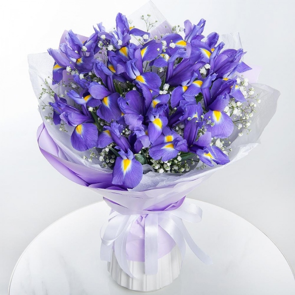 Irises - 21, Gypsophila - 2, Wrapping Paper