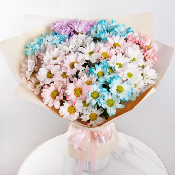 Хризантема кустовая Бакарди окрашенная синяя - 3, Хризантема кустовая Бакарди белая - 4, Хризантема кустовая Бакарди розовая - 4, Современная упаковка