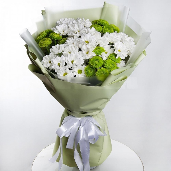 Bacardi White Spray Chrysanthemum - 6, Athos pom Feeling Green - 5, Wrapping Paper